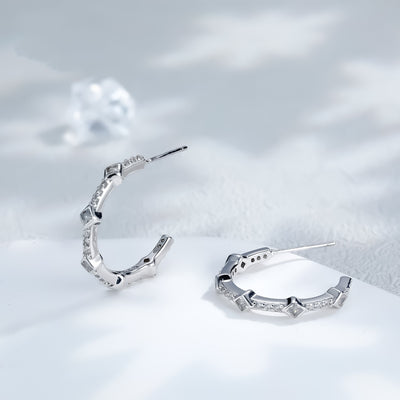 Silver Pin Ear Ring Simple Wild Earrings